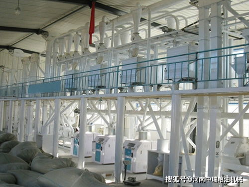 500噸面粉加工成套設備